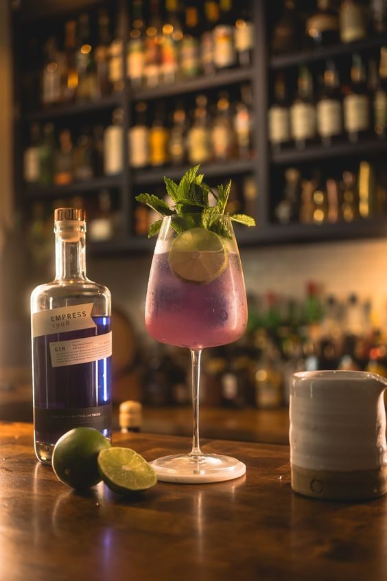 Midnight in SB purple gin cocktail
